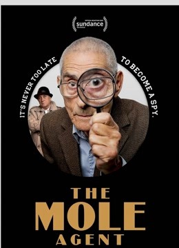 名侦探赛大爷封面图