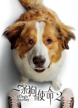 一条狗的使命2封面图