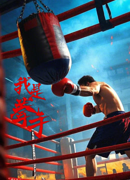 我是拳手封面图