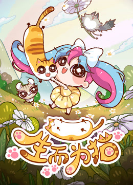 生而为猫封面图