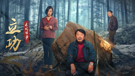 立功东北旧事封面图