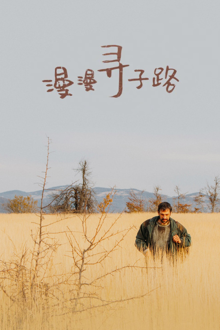 漫漫寻子路封面图