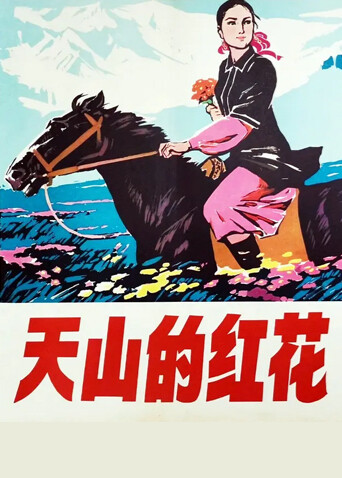 天山的红花封面图