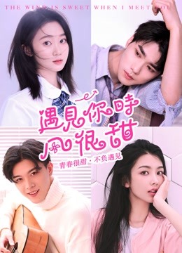 遇见你时风很甜封面图