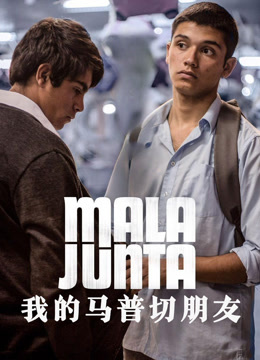 我的马普切朋友封面图