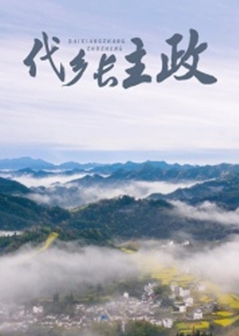 代乡长主政封面图