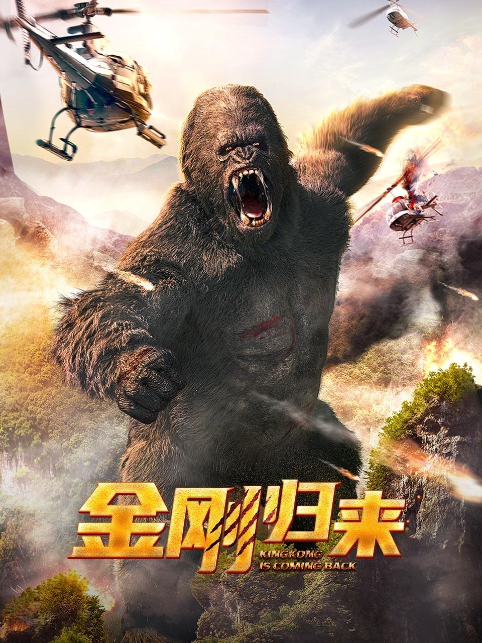 金刚归来封面图