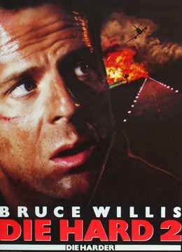 虎胆龙威2封面图