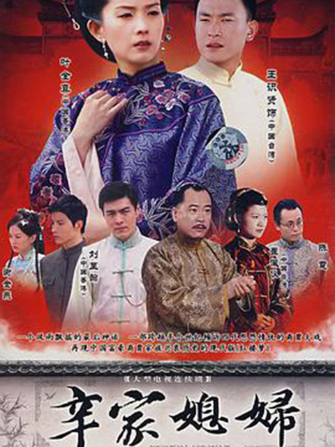 辛家媳妇封面图