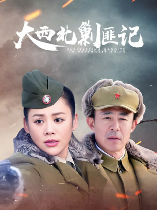 大西北剿匪记封面图