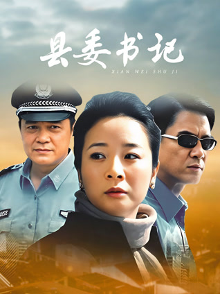 县委书记封面图