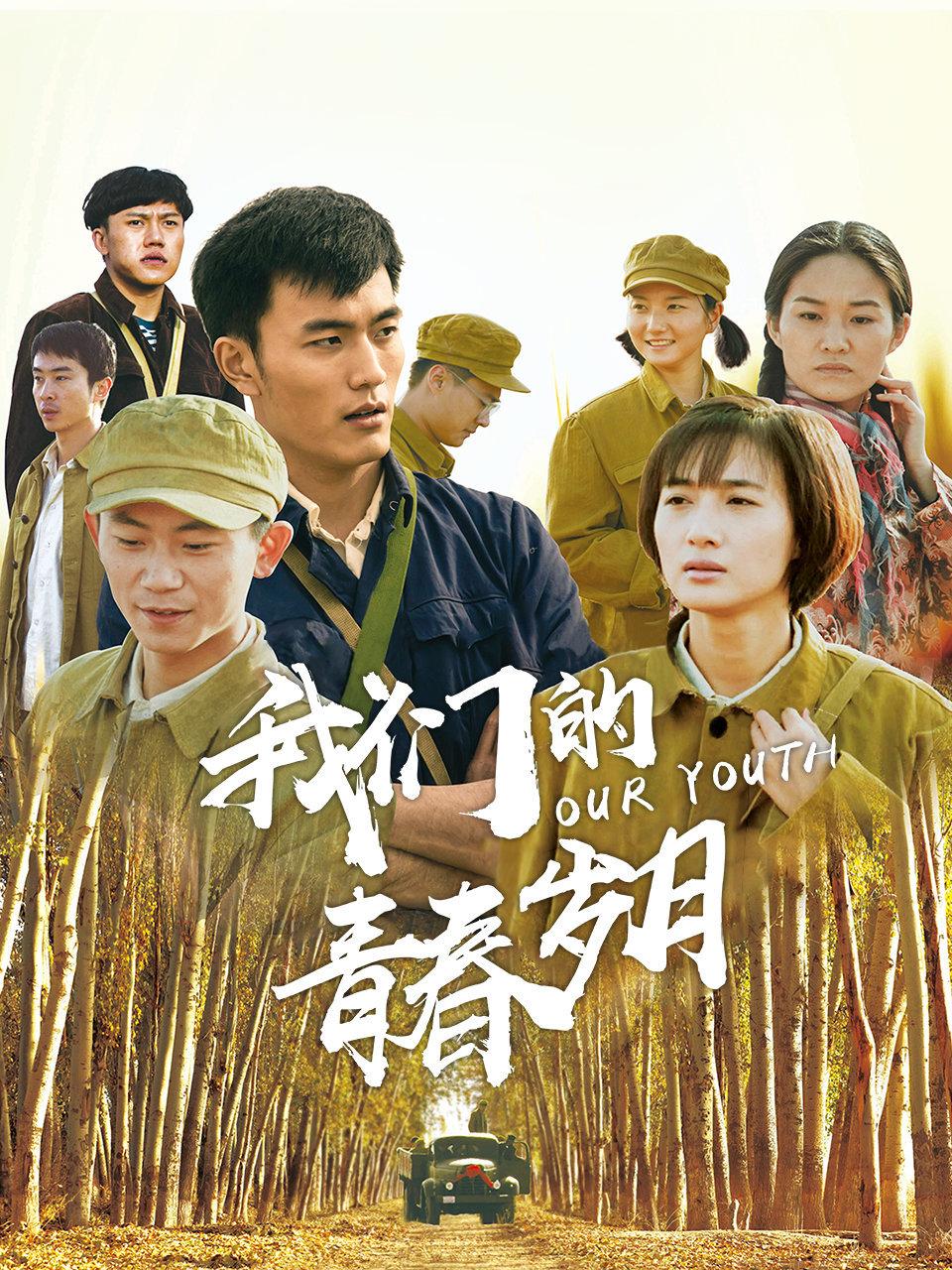 我们的青春岁月封面图