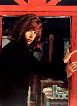 红色沙漠封面图