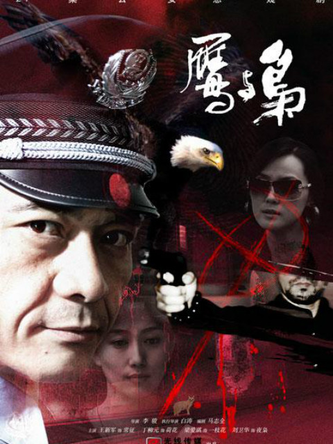 鹰与枭封面图