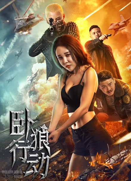 卧狼行动封面图