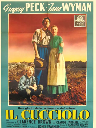 鹿苑长春封面图