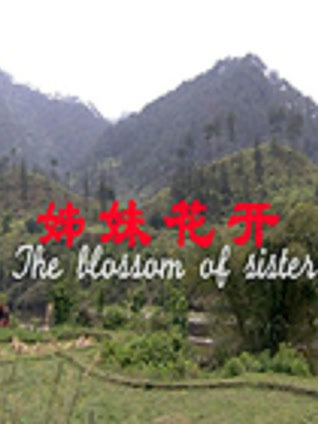 姊妹花开封面图