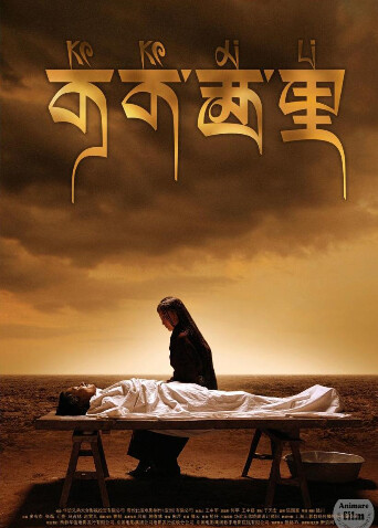 可可西里封面图