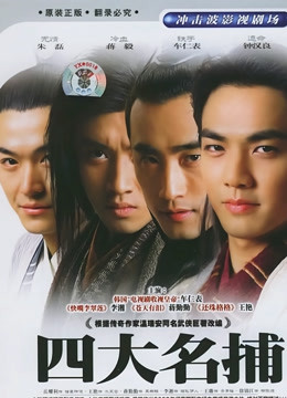 四大名捕会京师封面图