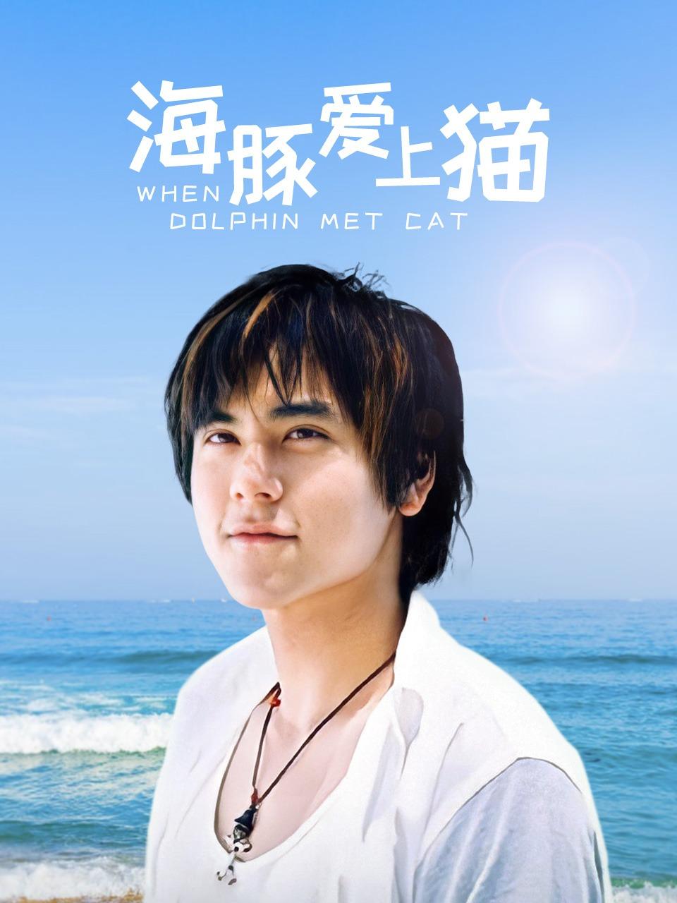 海豚爱上猫封面图