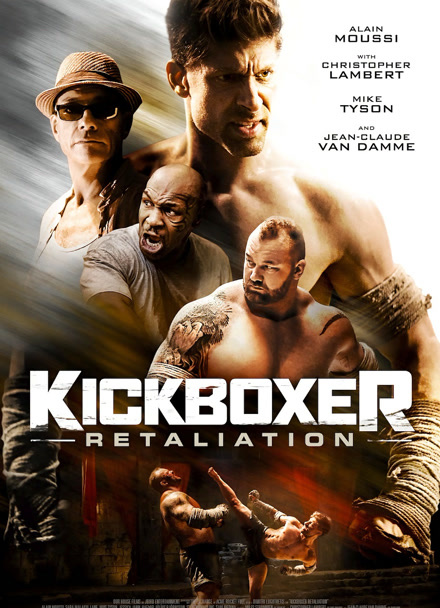 搏击之王：反击封面图