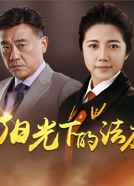 阳光下的法庭封面图