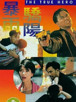 暴雨骄阳封面图