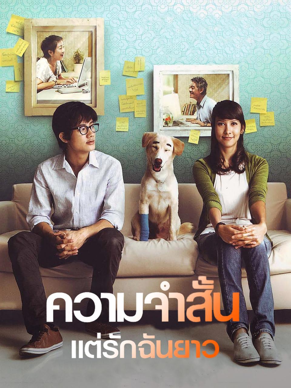 爱久弥新封面图