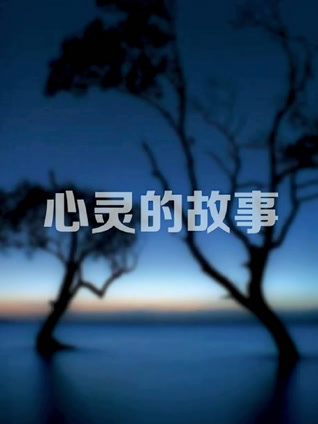 心灵的故事封面图