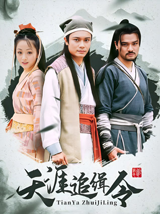 天涯追缉令封面图