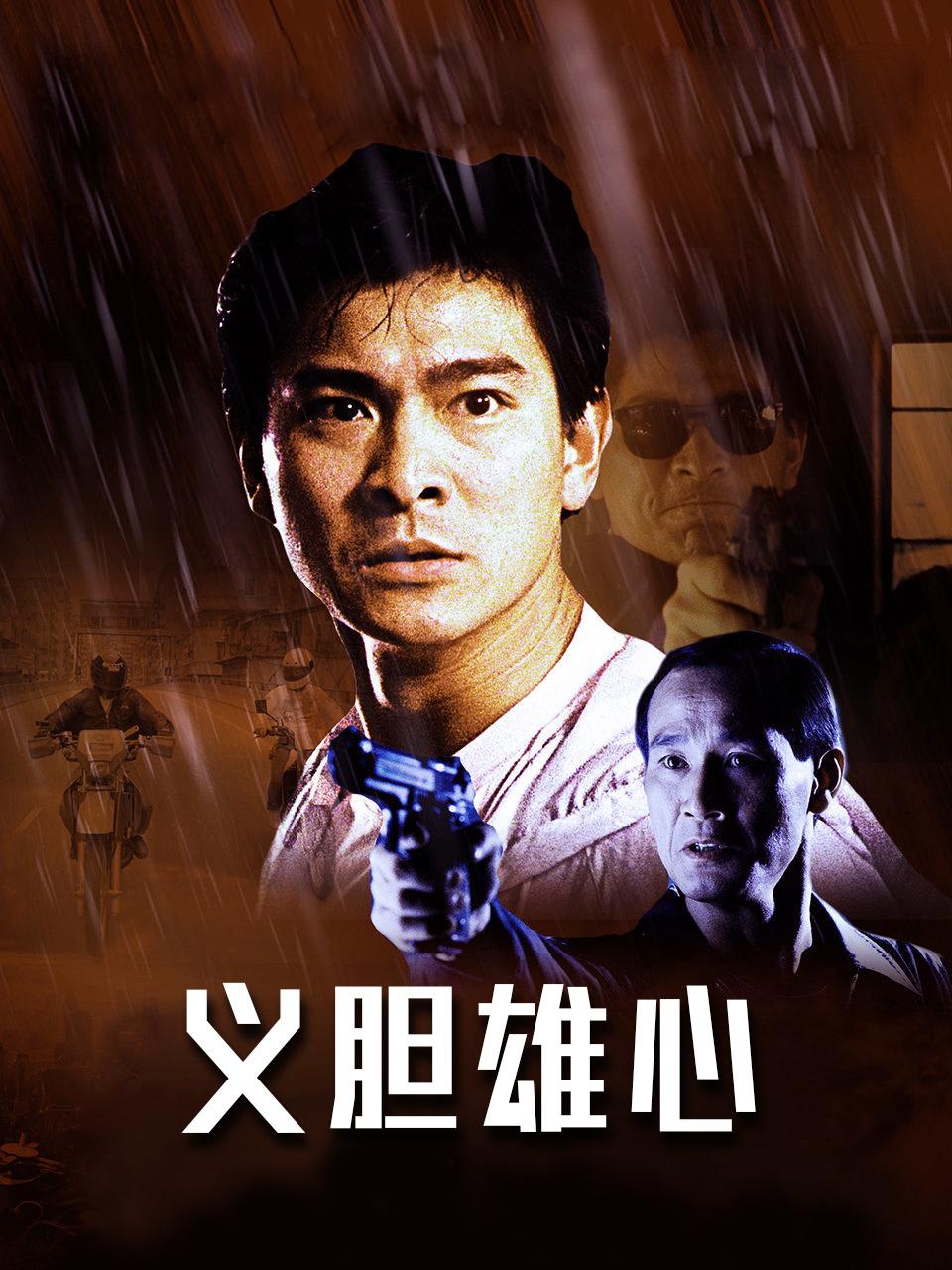 义胆雄心封面图