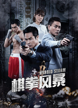 棋拳风暴封面图