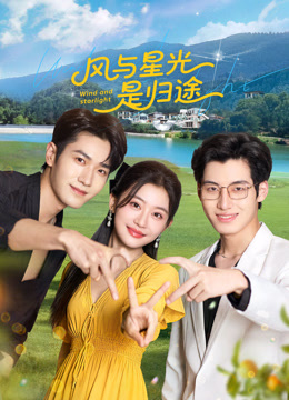 风与星光是归途封面图