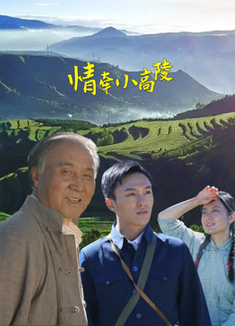 情牵小高陵封面图