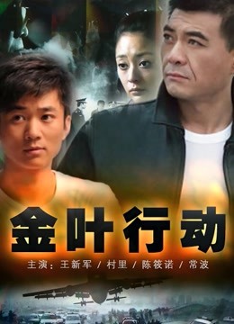 金叶行动封面图