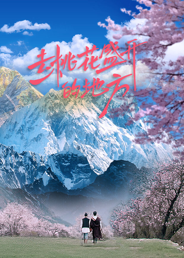去桃花盛开的地方封面图