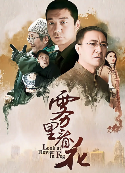 雾里看花封面图