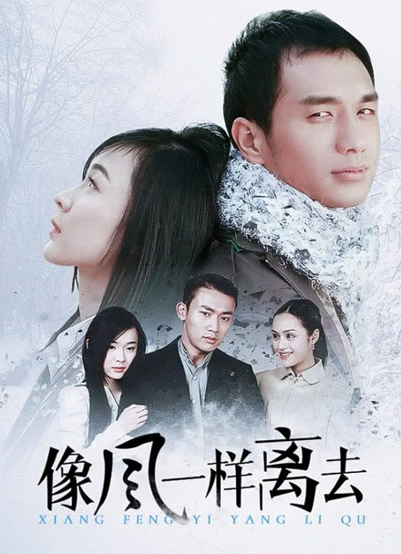 像风一样离去封面图