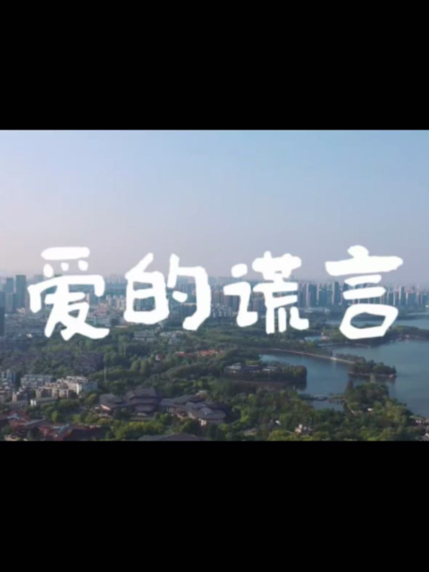 爱的谎言封面图