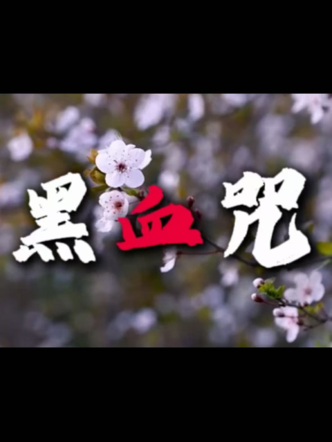 黑血咒封面图
