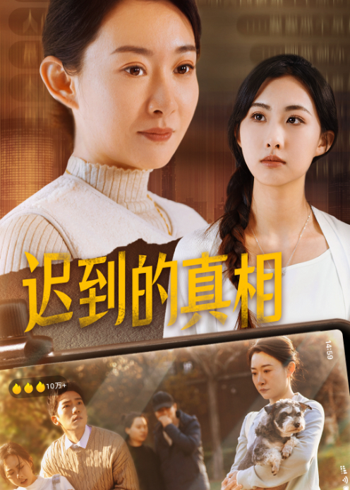 迟到的真相封面图