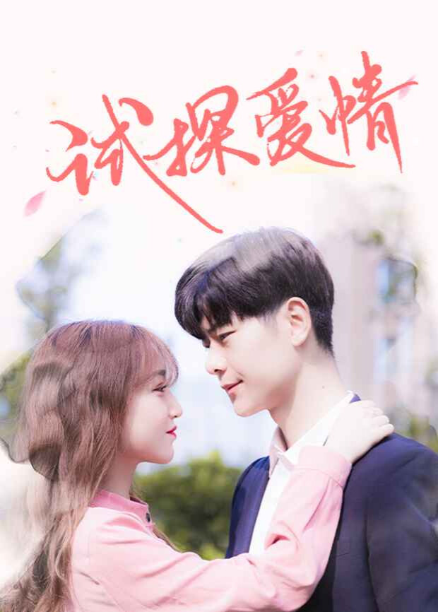 试探爱情封面图