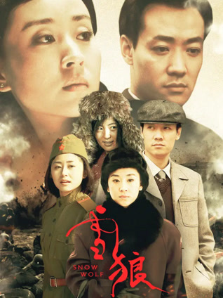 雪狼封面图