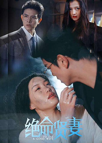 绝命贤妻封面图