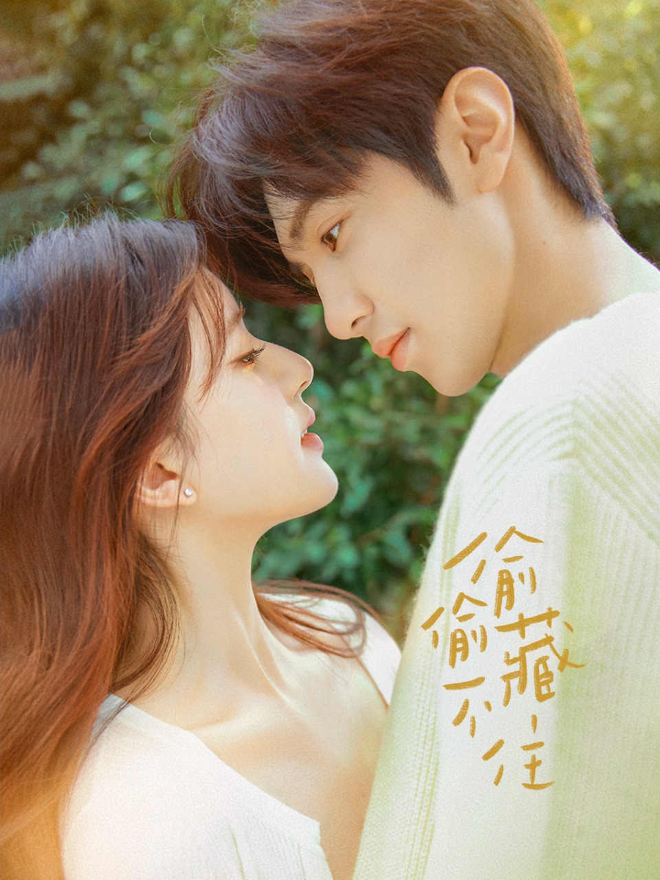 偷偷藏不住封面图