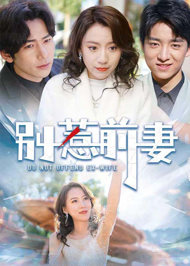别惹前妻封面图