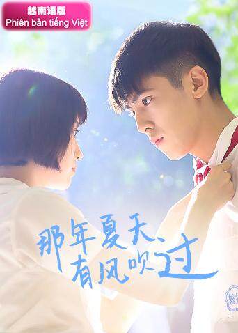 那年夏天有风吹过 越南语版封面图