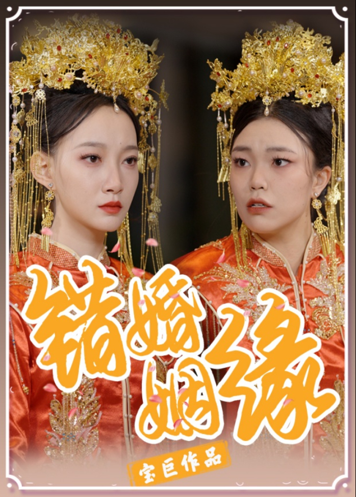 错婚姻缘封面图