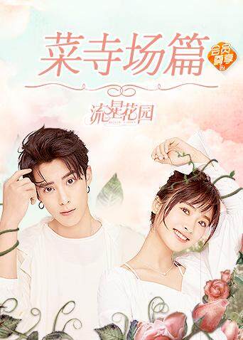流星花园 菜寺场篇封面图