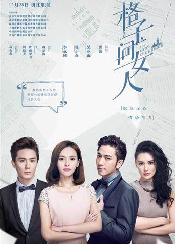 格子间女人 TV版封面图